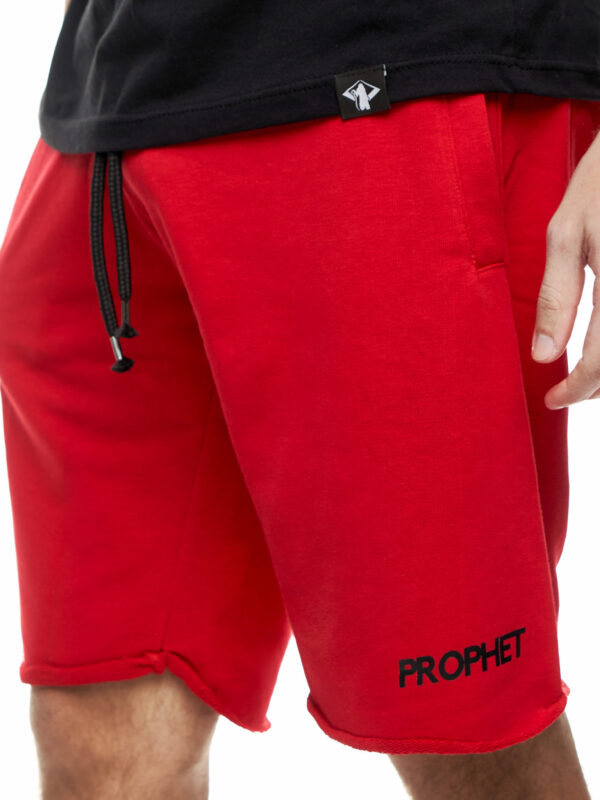 Βερμούδα Smith