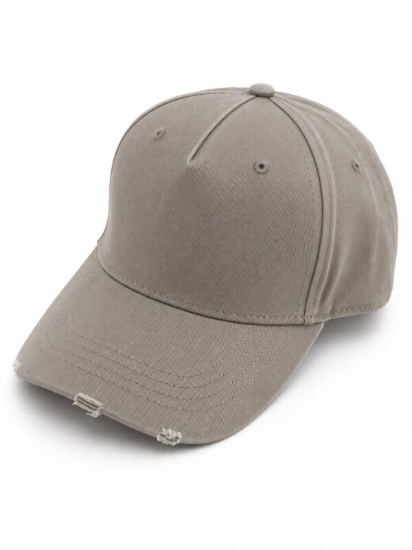 FADE STREET CAP