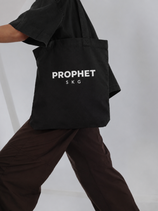 Daily Prophet Bag