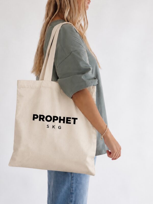 Daily Prophet Bag